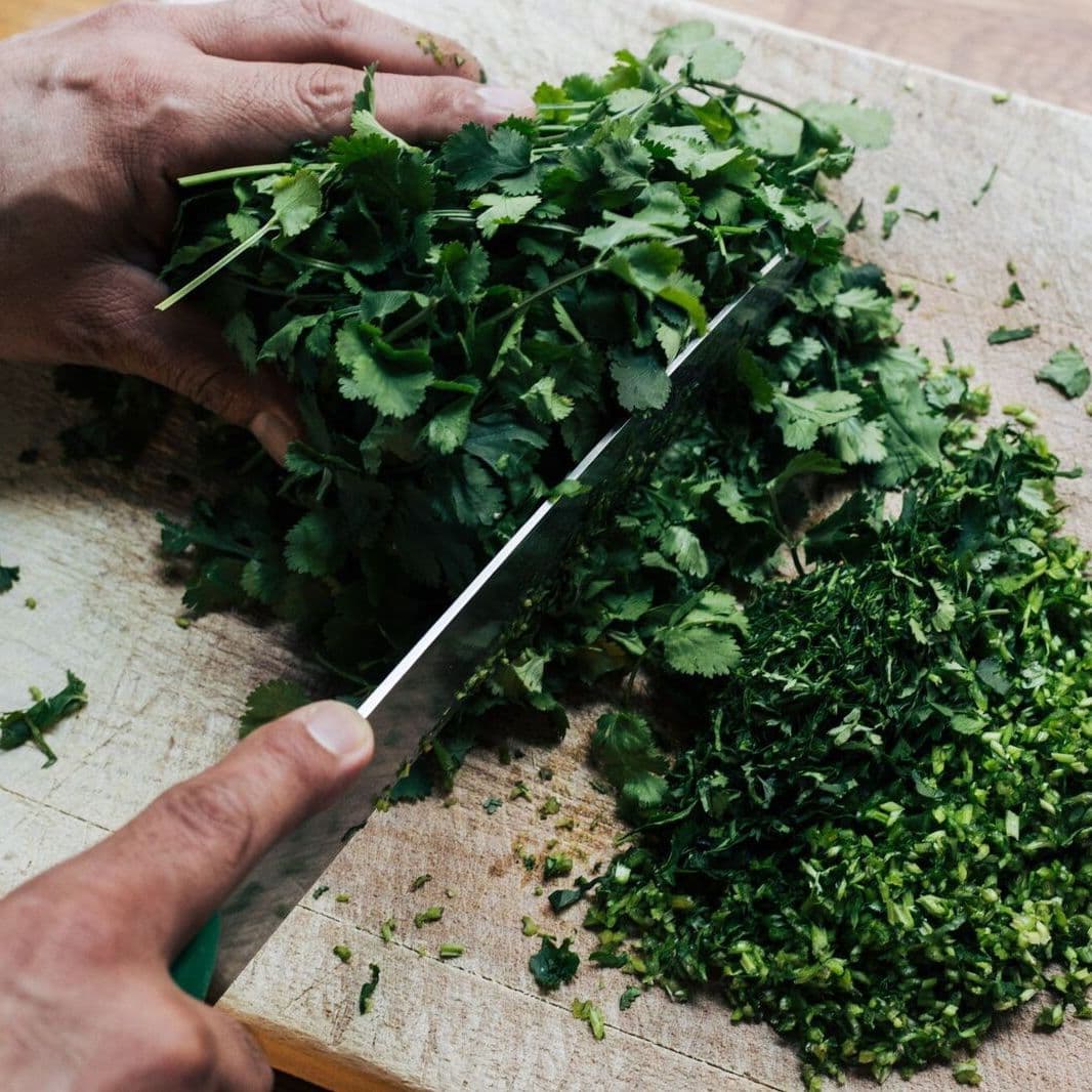 Hands cutting coriander